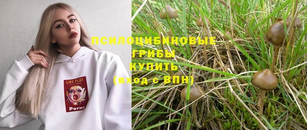 не бодяженный Алексин