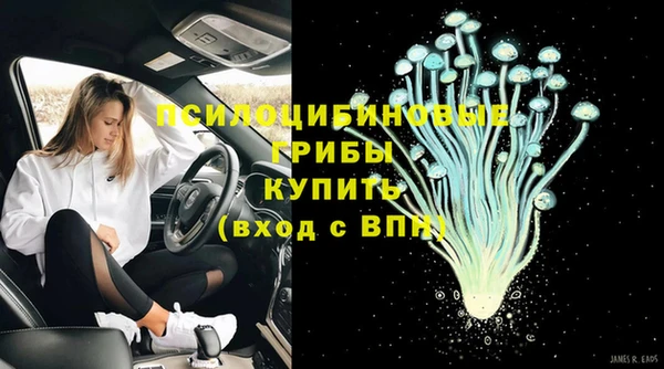 прущие крисы Алексеевка