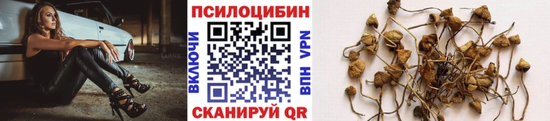omg сайт  Пермь  Псилоцибиновые грибы Psilocybe 